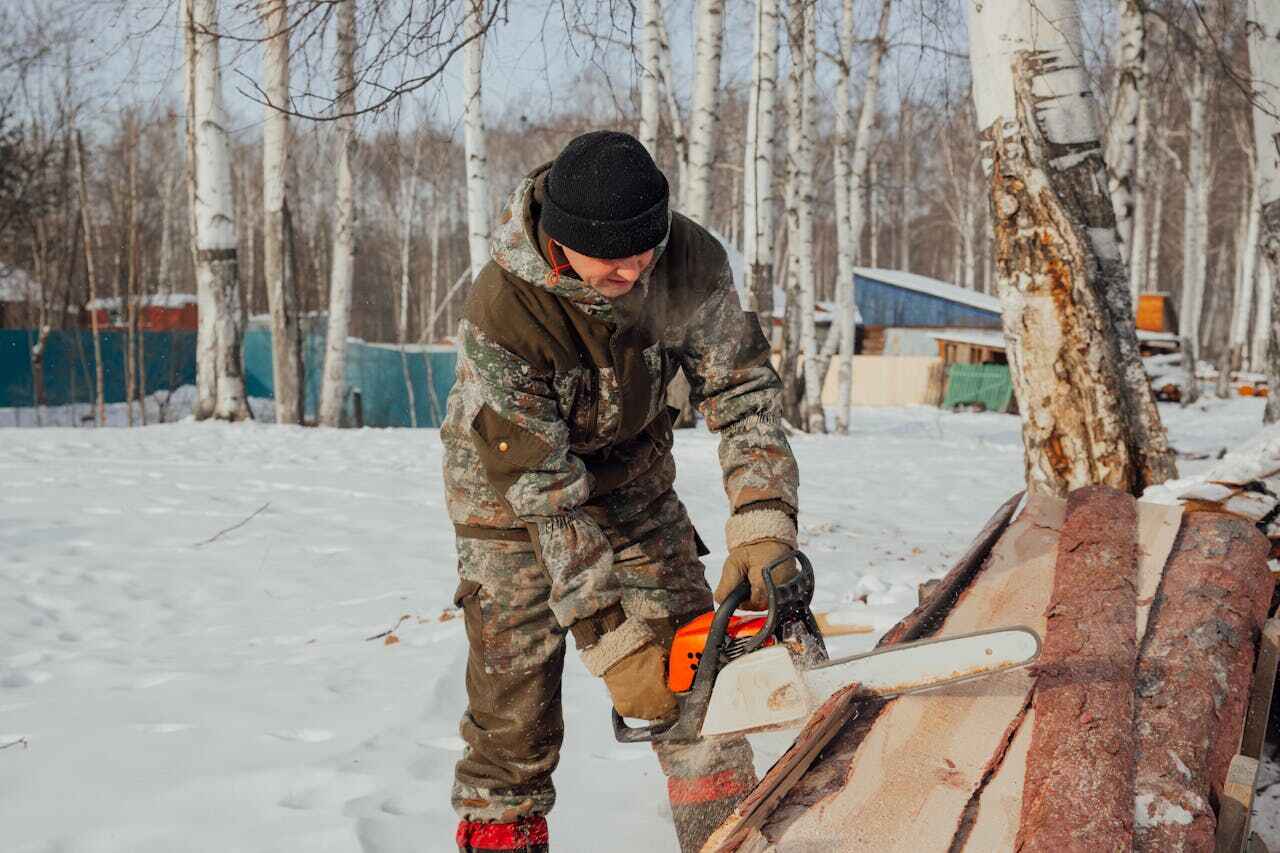 Best Tree Cutting Near Me  in The Hammocks, FL